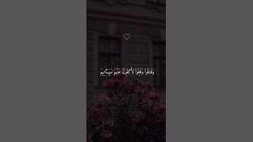 سورة آل عمران 💙#حالات_واتساب #حالات_دينية #حالات_واتس #قرآن #حالات