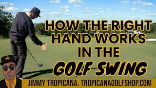 How the right hand works in the golf swing.
