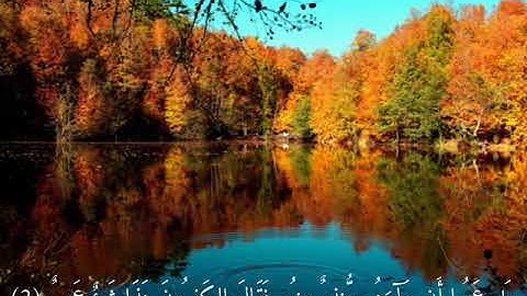 حالة واتس اب(سورة ق اسلام صبحي)