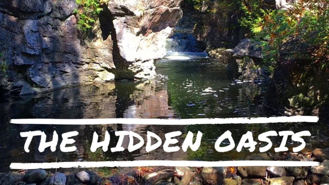 The Hidden Oasis| SWIMMING POOL IN A FOREST?! - YouTube