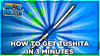 How To Get Tushita Under 3 Minutes | Blox Fruit Tushita Puzzle screenshot 4