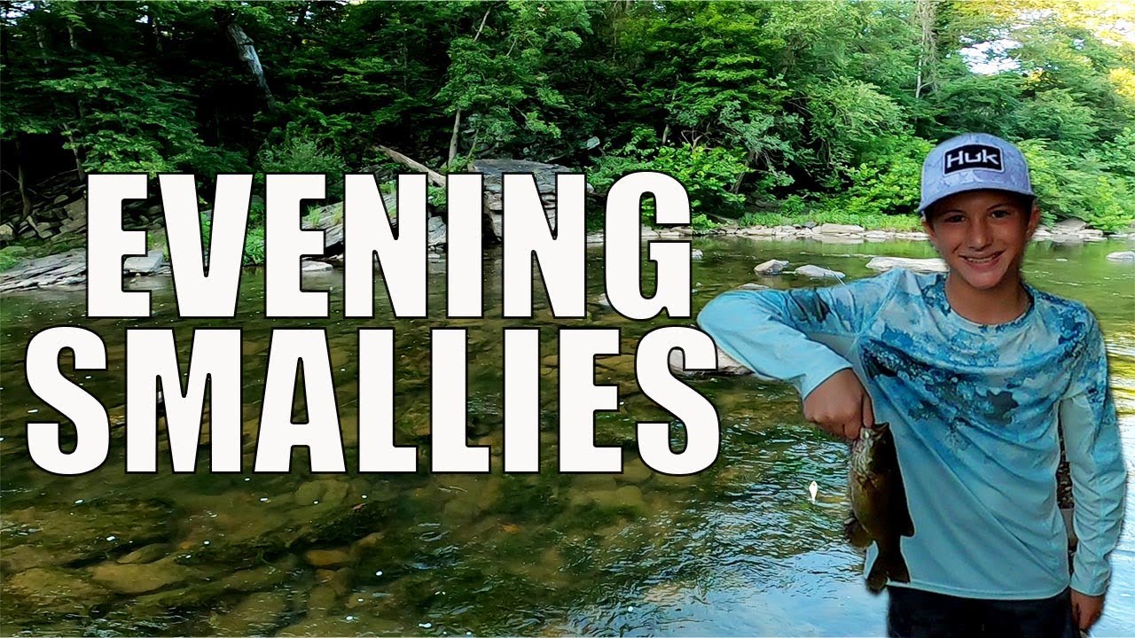 EVENING SMALLIES…. CREEK FISHING THE GOLDEN HOUR  #creekfishing #fishing #smallmouthbassfishing