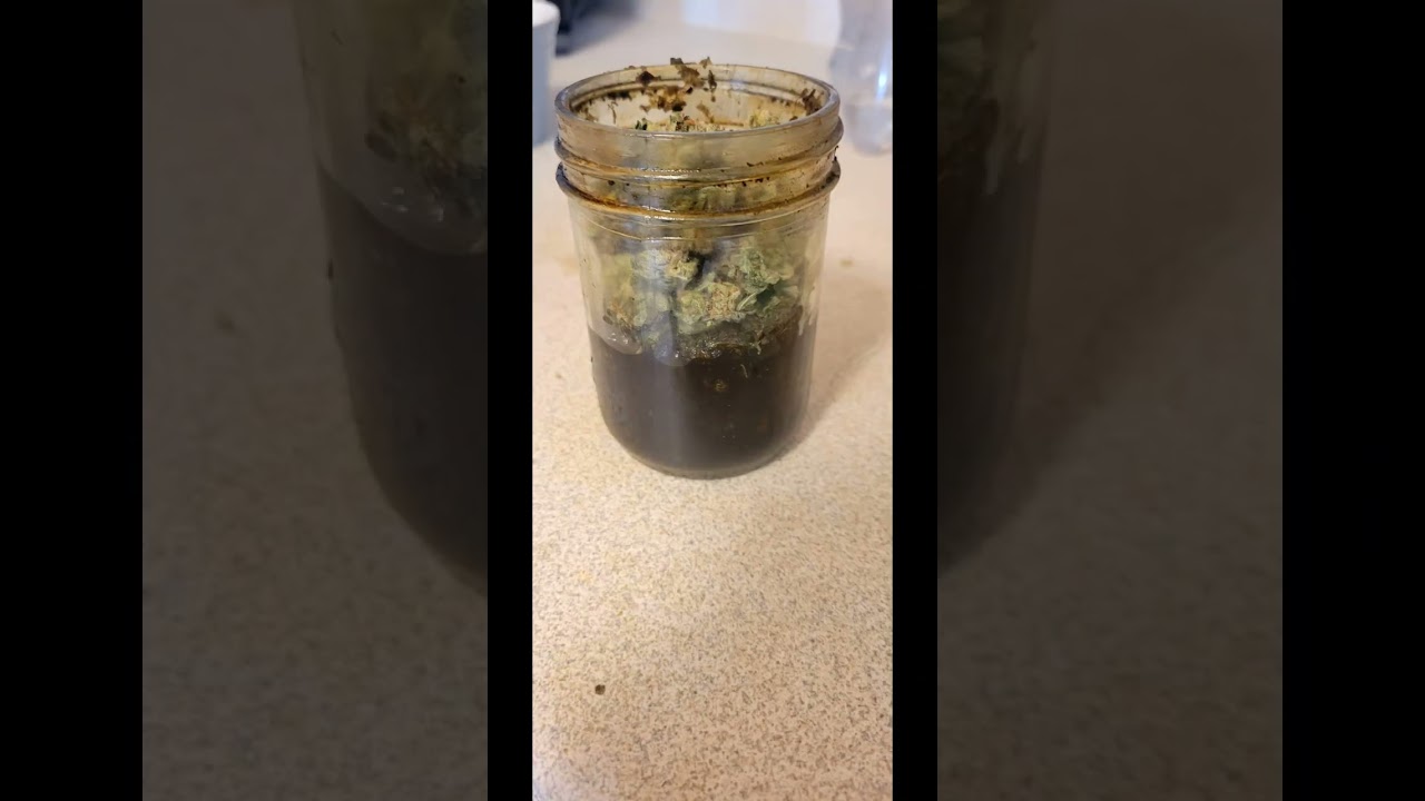 Making homemade honey oil  It's marijuana