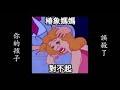 荔枝椿象的卵14顆 黃斑椿象的卵12顆 我誤殺了 請開CC字幕 荔枝椿象的卵14顆 黃斑椿象的卵12顆 我誤殺了 請開CC字幕