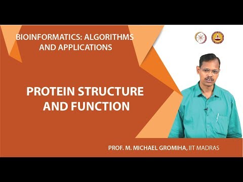 Protein structure and function