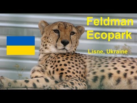 Feldman Ecopark VLOG Lisne Ukraine Zoo Park near Kharkov or Kharkiv 2017