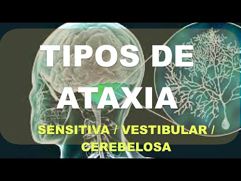 Video: Ataxia Episódica Canina