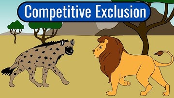 The Competitive Exclusion Principle
