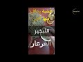 استكشفوا معنا قوة عشبة العرعار في التخلص من الجن والشياطين وتنقية المنزل من الطاقات السلبية