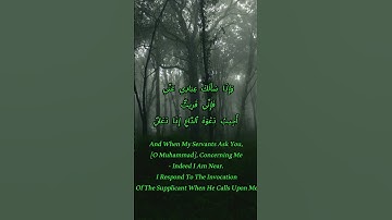 عبدالله الموسى -سورة  البقرة: 186 #المصحف #اكسبلور #راحة_نفسية#القرآن_الكريم