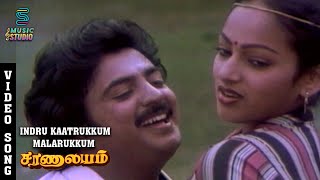 Indru Kaatrukkum  Video Song - Saranalayam | Mohan | Nalini | M.S.Viswanathan |  Music Studio