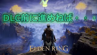 墓荒らしたり、コソ泥したり、の作業枠【elden ring】