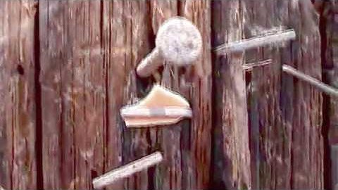 dsi prophet rev2 | "been here"