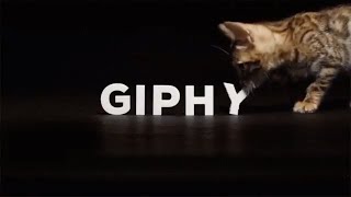 GIPHY's mobile GIF-creation tool