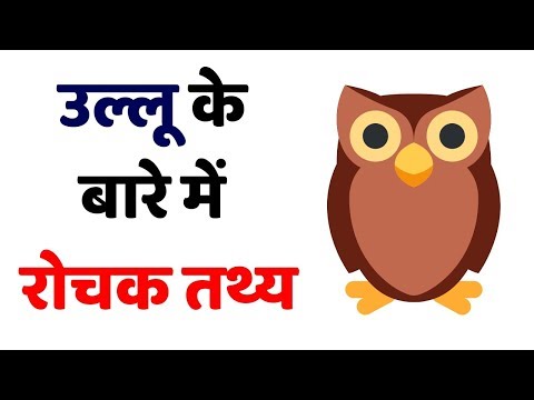 superb-facts-about-owls-|-amazing-dunia-|-types-of-owls-|-news-india