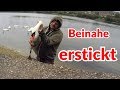 Schwan beinahe erstickt - Tiernotruf #120