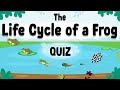 Frog Life Cycle Quiz