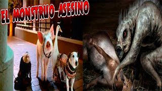 CREEPYPASTA DEL CERDITO VALIENTE EL MONSTRUO ASESINO