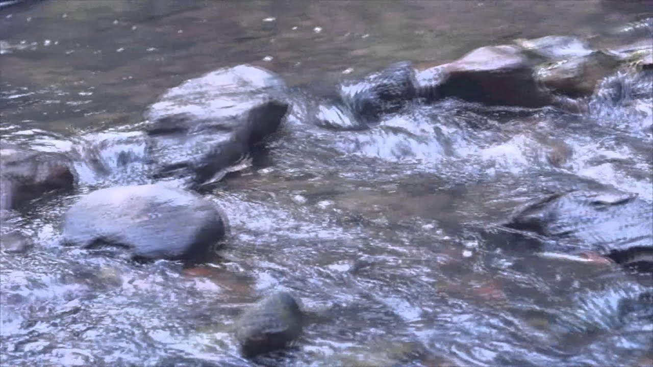 documental la loma