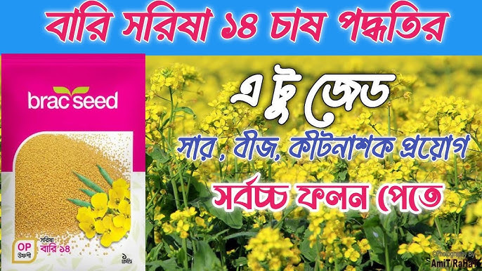 Birinchi marta anal jinsiy aloqa Gabriella porno aktrisa foto