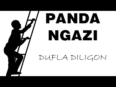 Dufla Diligon Panda Ngazi