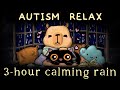 Calming Sensory Rain Sounds for Autism &amp; ADHD Relax 💛