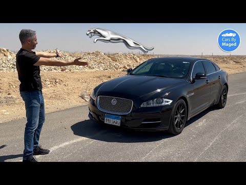 الفهد الكبير    جاكوار