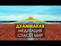 Необычный буддизм: Дхаммакая - медитация спасёт мир