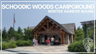 Tour Schoodic Woods Campground | RV Travel Finding Our Spot by Finding our spot 1,839 views 2 years ago 9 minutes, 53 seconds