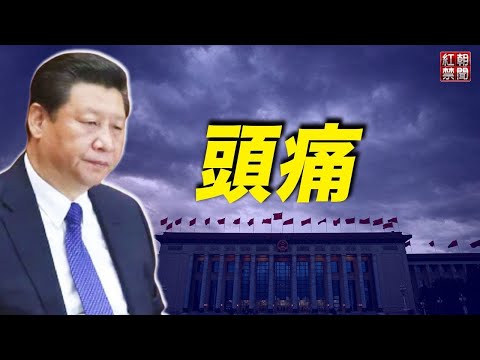 习近平不点名批评邓江 历史决议摆不平党内；网民新疆历险拍集中营 专家：再添新证【希望之声TV-红朝禁闻-2021/11/17】