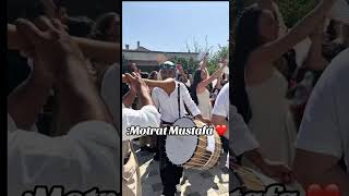 Motrat Mustafa E Kallin Një Dasmë Tipike Tradicionale Resimi