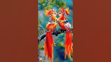"اقرأ باسم ربك | سورة العلق بصوت خاشع يهز القلوب 📖✨"