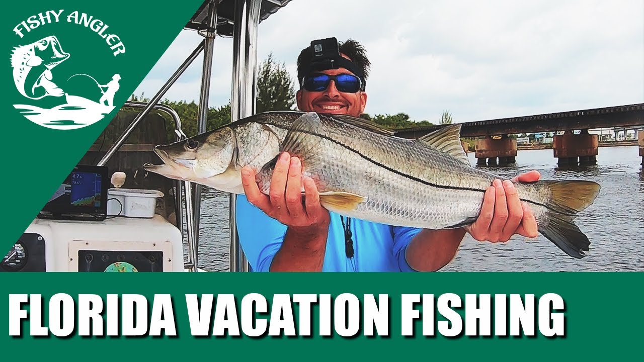 Snook Fishing Port St Lucie Florida. YouTube