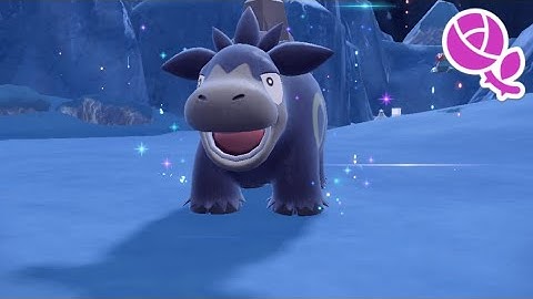 Shiny Numel + Shiny Camerupt "the Pompous" Evolution | Pokémon Scarlet And Violet