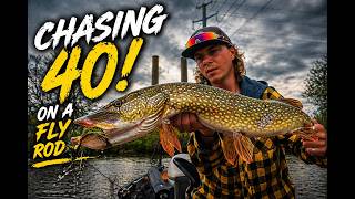 Chasing 40” On A FLY | Giant Northern Pike on Fly Rods | Short Film