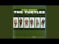 The Turtles - You Baby