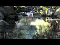 【自然音】せせらぎ - 7 / 1 Hour Nature Sounds - Babbling Brook Sounds