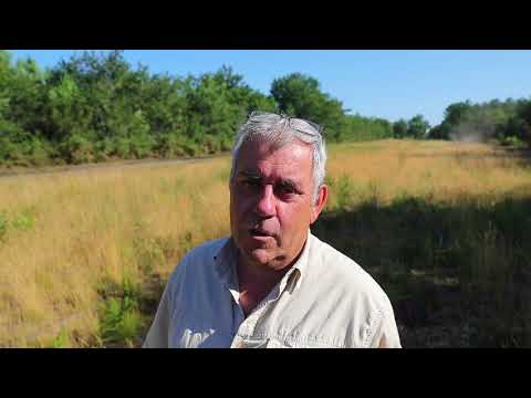 Vidéo: Comment éviter Un Feu De Forêt