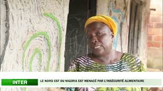 Le Nord-est du Nigeria est menacé par l'insécurité alimentaire