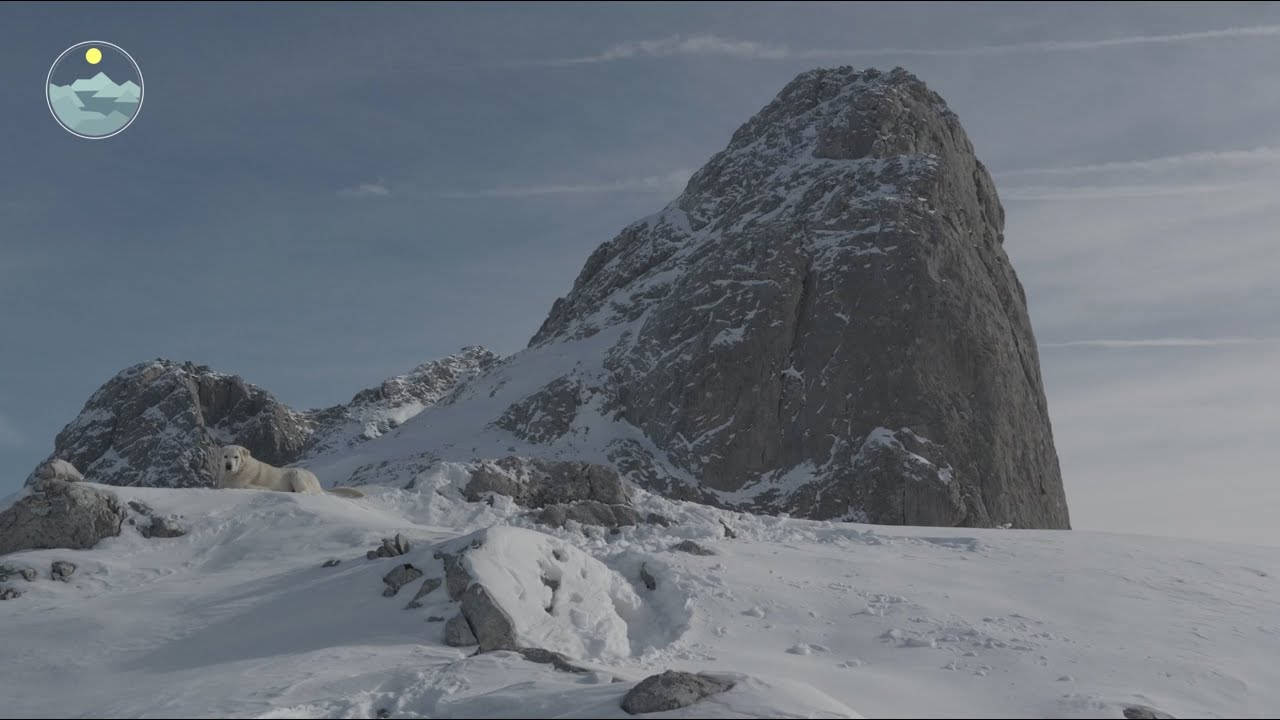 CANAL DE PEDAVEJO: salimos solos, pero una incorporación sorprendente nos roba el protagonismo.