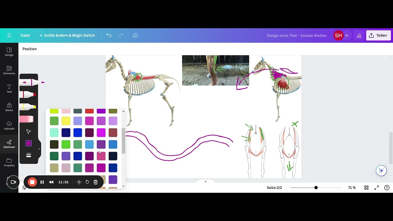 Vorbiegigkeit der Vordergliedmaße