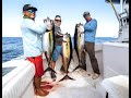 Yellowfin Tuna mania down at Sport Fish Panama Island Lodge 2023 - Full episode