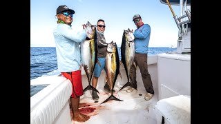 Yellowfin Tuna mania down at Sport Fish Panama Island Lodge 2023 - Full episode