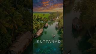 Kavalam - Cinema's Favourite Spot in Kuttanad