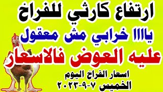 اسعار الفراخ اليوم | سعر الفراخ البيضاء اليوم  مصر الخميس 7-9-2023