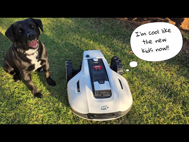 yuka⟡.·*. YUKA: Smart. Gentle. Made for Family Moments - YouTube