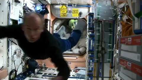 How Space Exploration Affects Astronauts