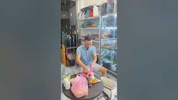 Hướng dẫn bài trộn xả câu cá Tráp biển hiệu quả nhất