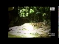 The cannibal in the jungle real film