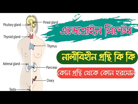 ভিডিও: গ্রন্থির নাম কী) যে ঢাকনার মার্জিন রেখা দেয়?